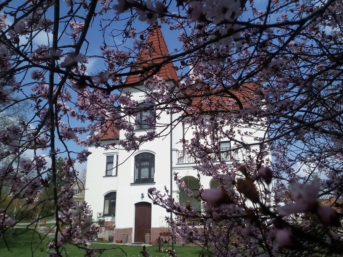 Villa Liduska S Kavarnou Bechyne Exterior photo