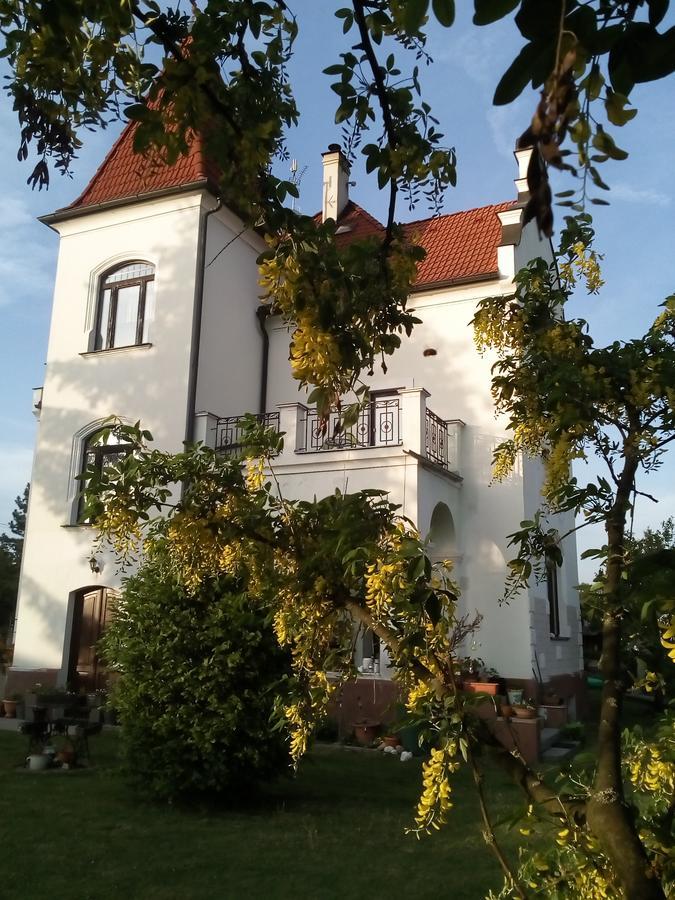 Villa Liduska S Kavarnou Bechyne Exterior photo